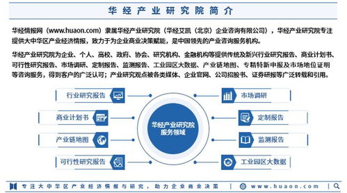 2025年中國自主智能體機器人技術(shù)行業(yè)市場深度分析及投資戰(zhàn)略咨詢報告